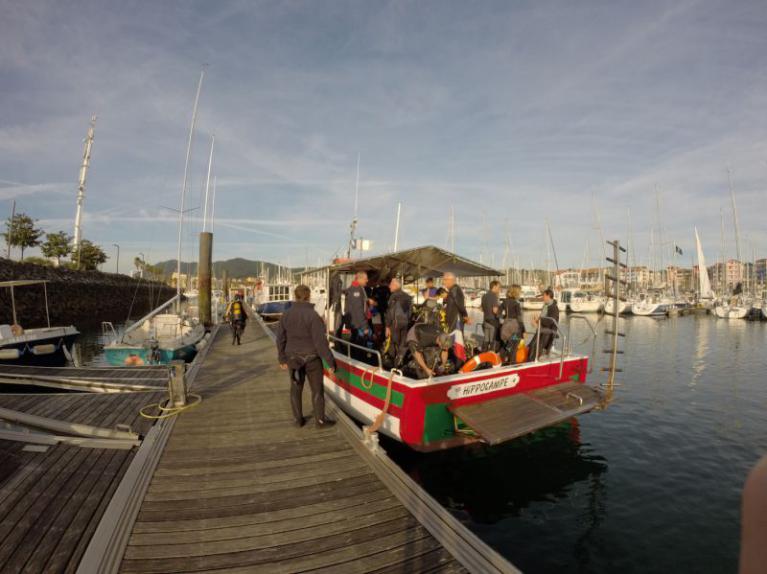 l'Hippocampe au port